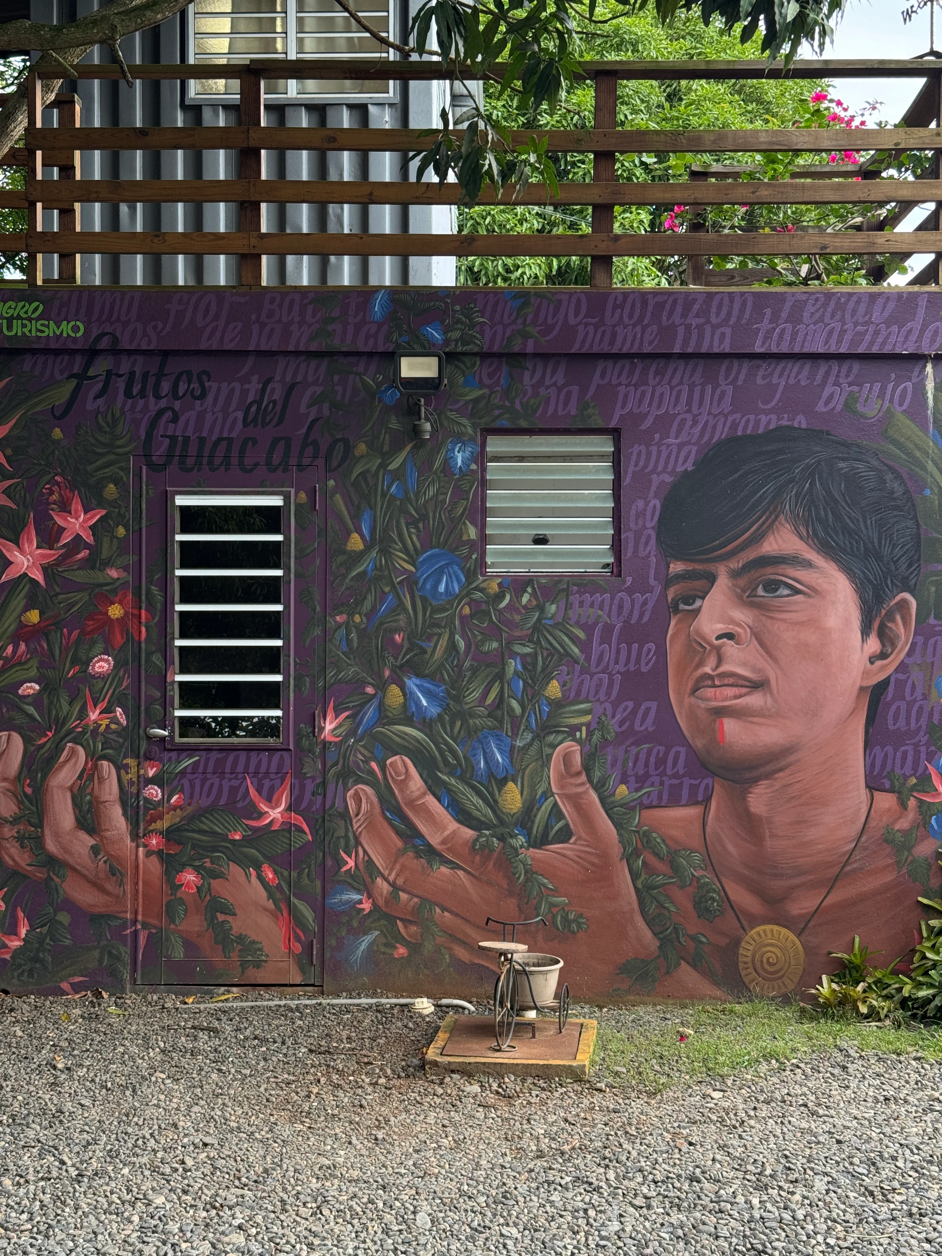 Mural hecho por Rafique donde se representa al cacique Guacabó, quien inspiró el nombre de la finca Frutos del Guacabo. (Foto por Juan Santa para Platea)