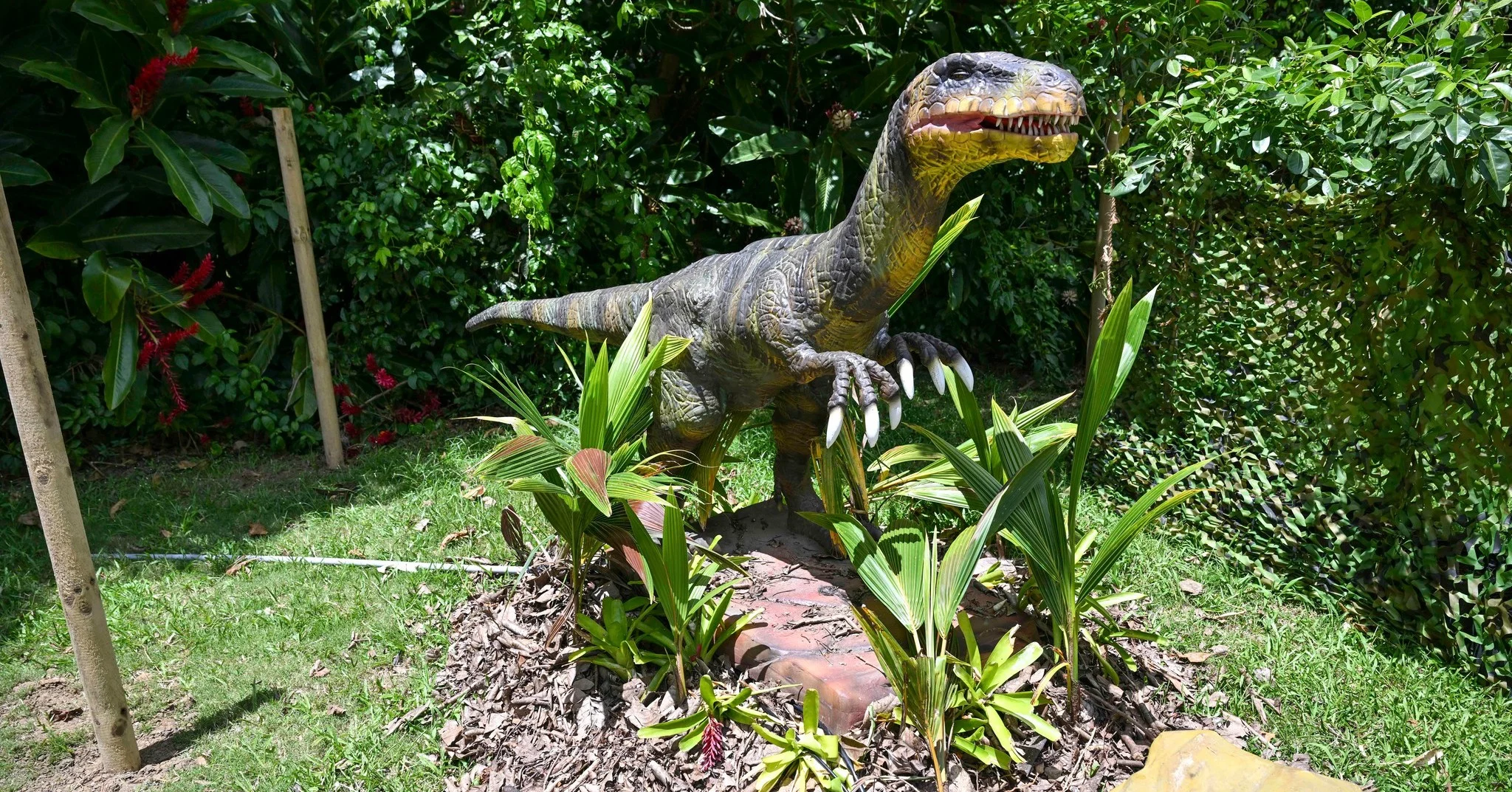 sabias-que-hay-un-jardin-jurasico-en-caguas