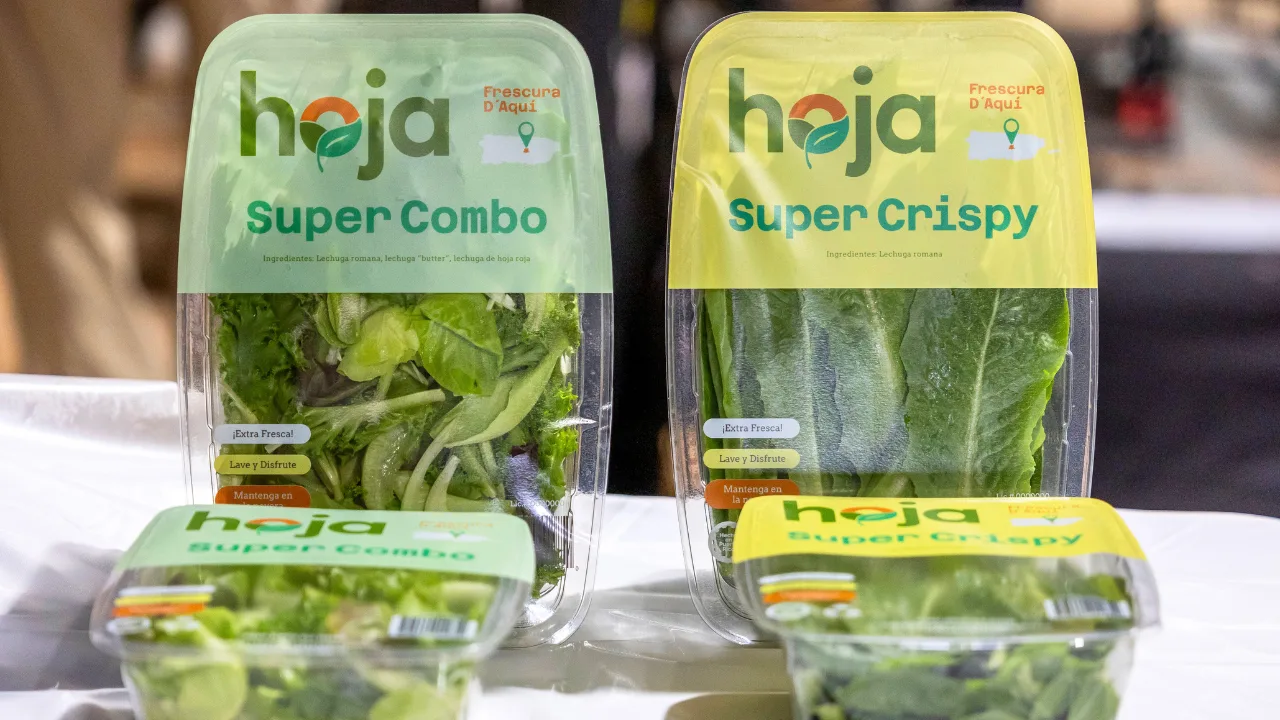 una-de-las-fincas-hidroponicas-mas-grandes-del-caribe-estara-en-barranquitas