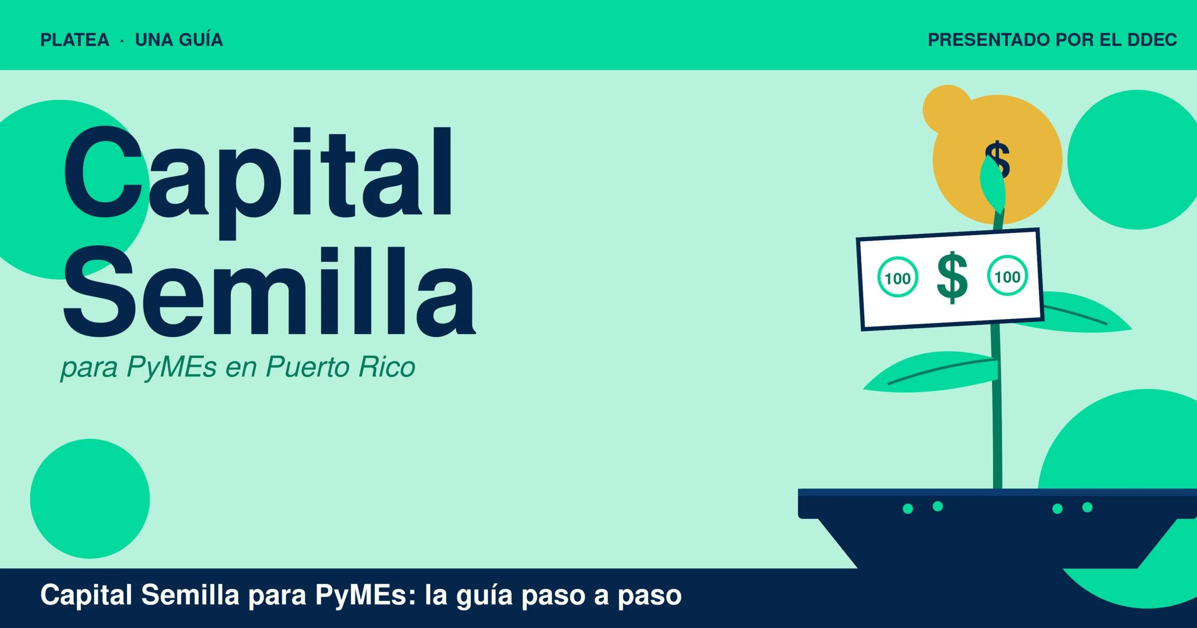 Guía para solicitar los incentivos de capital semilla para PyMEs