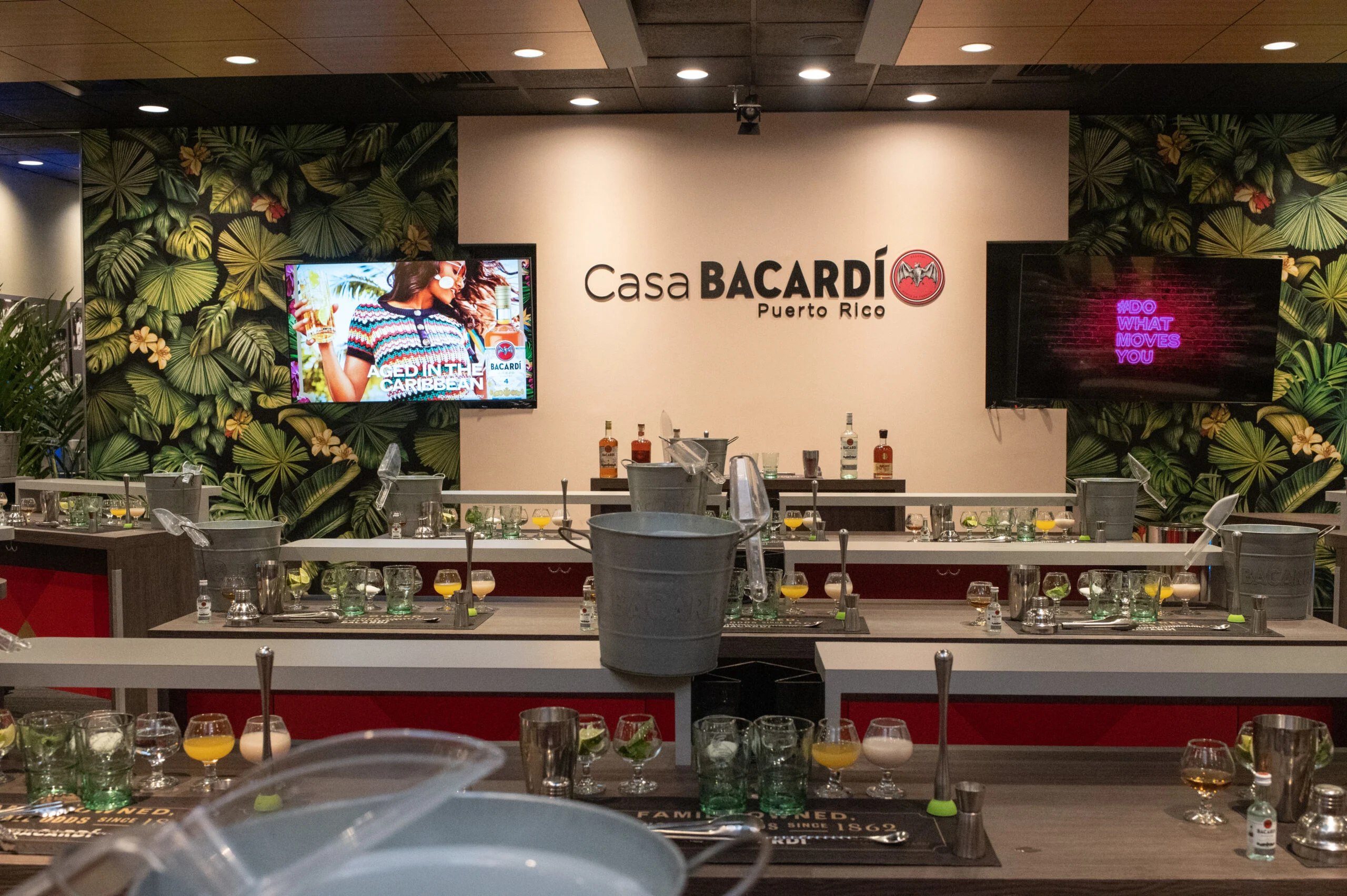 casa-bacardi-terms-and-conditions