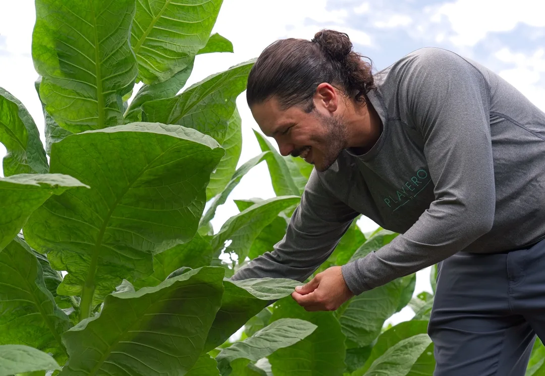 finca-neo-jibairo-rio-grande-agricultura-sustentable-comunidad