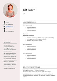 Hvordan Skrive Cv
