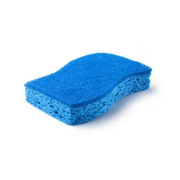 Scrubber sponge