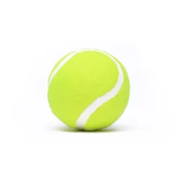 3–4 clean tennis balls