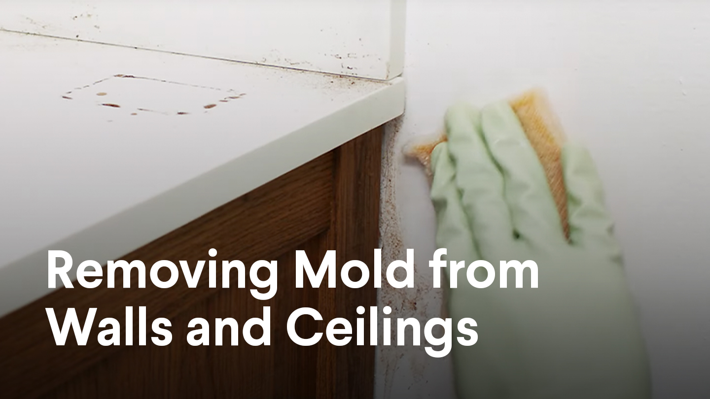 How to Get Rid of Mould in Kitchen: Easy and Effective Tips