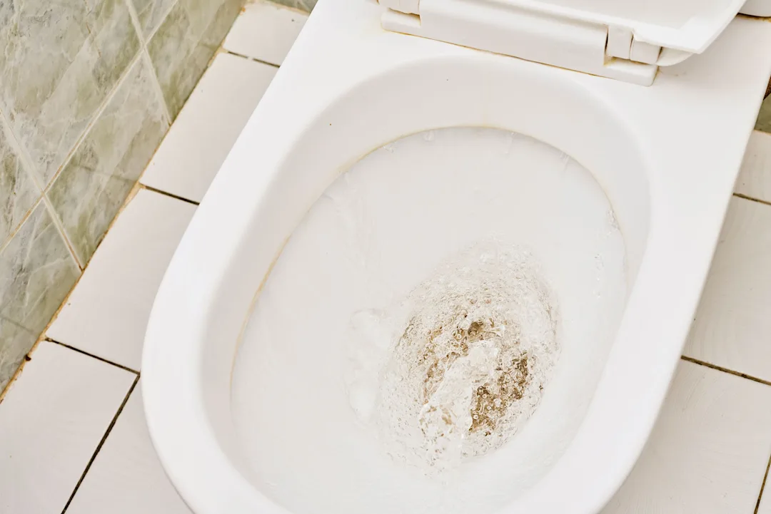 How to Get Rid of Mold in Toilet & Prevent It | Clorox®