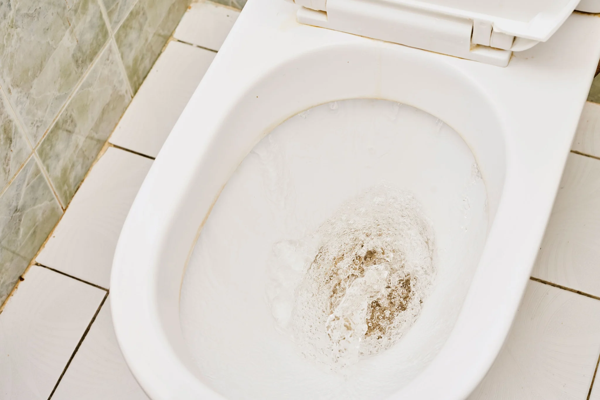 How to Get Rid of Mold in Toilet & Prevent It Clorox®