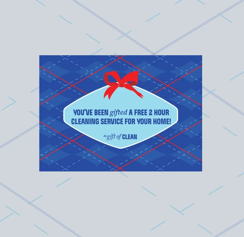 Blue plaid box with the words Gift of Clean in a light blue chevron, a red ribbon on top of chevron
