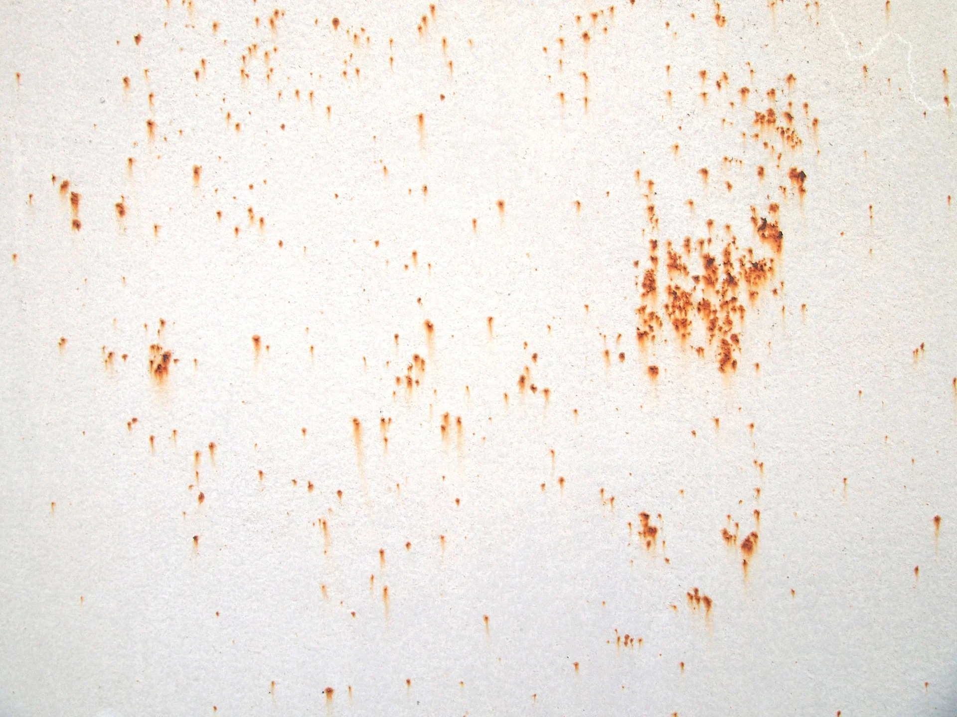 Does Bleach Remove Rust? | Clorox™