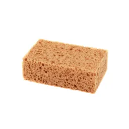 Sponge