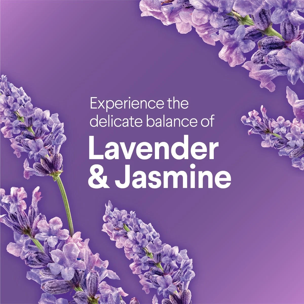 Disinfecting Multi-Surface Cleaner | Lavender & Jasmine