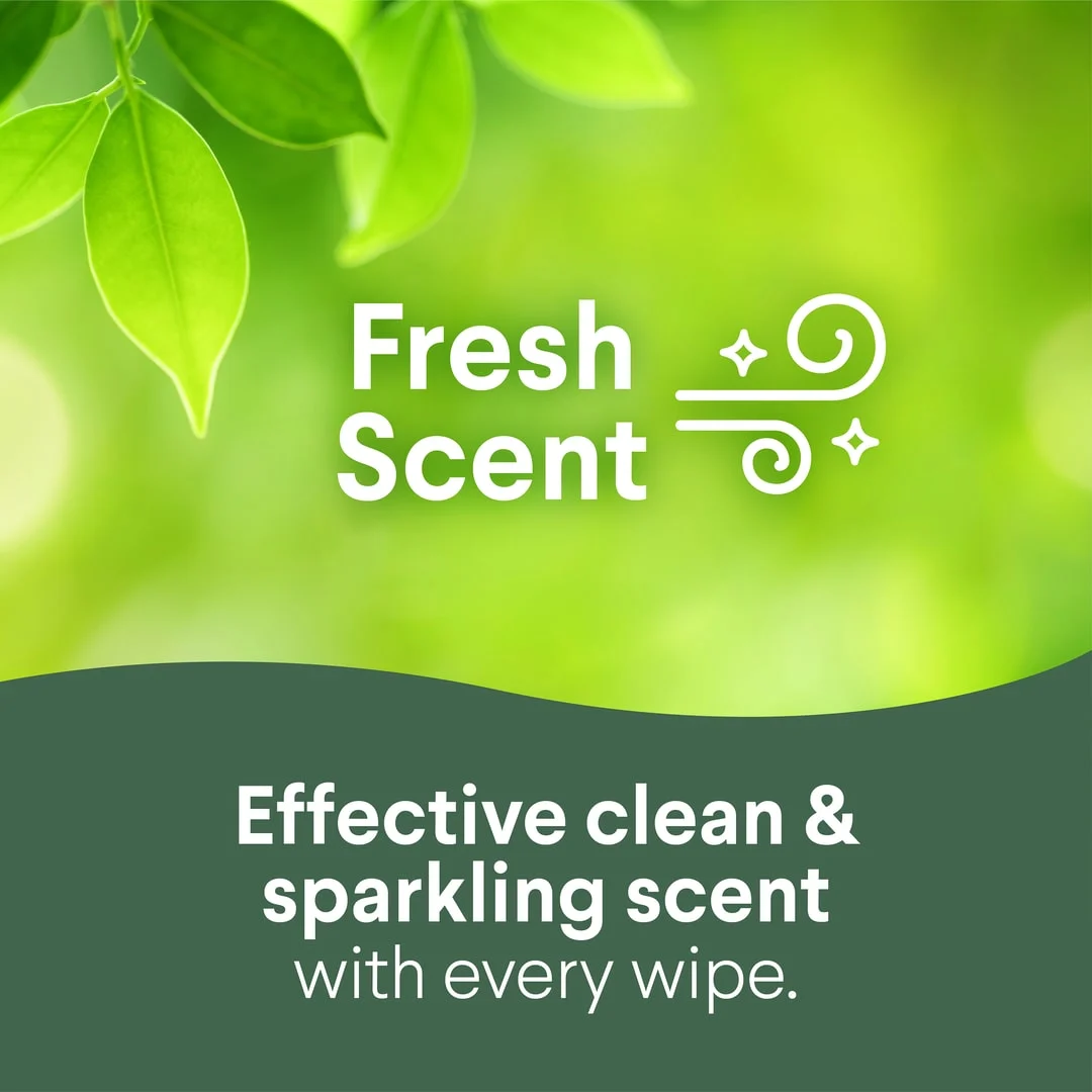Fresh Scent: effective clean & sparkling scent. Green leaves in the background.