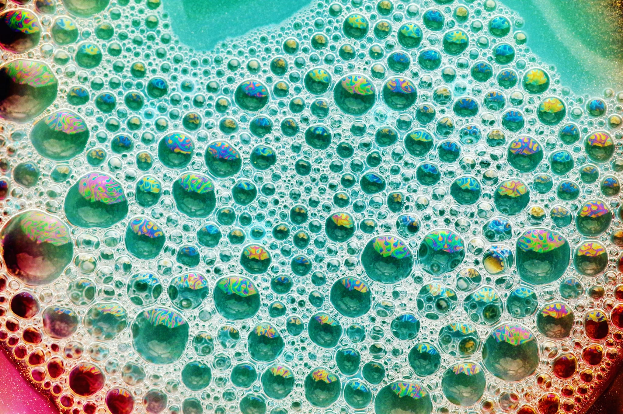 Ammonia and Bleach: Does Bleach Contain Ammonia? | Clorox&trade;