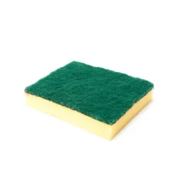 Sponges