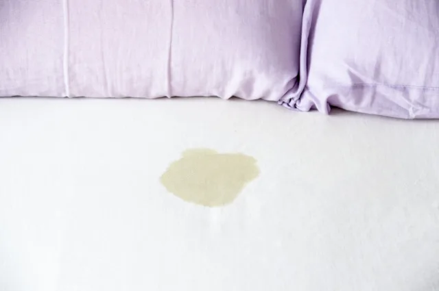 How to Remove Urine Stains