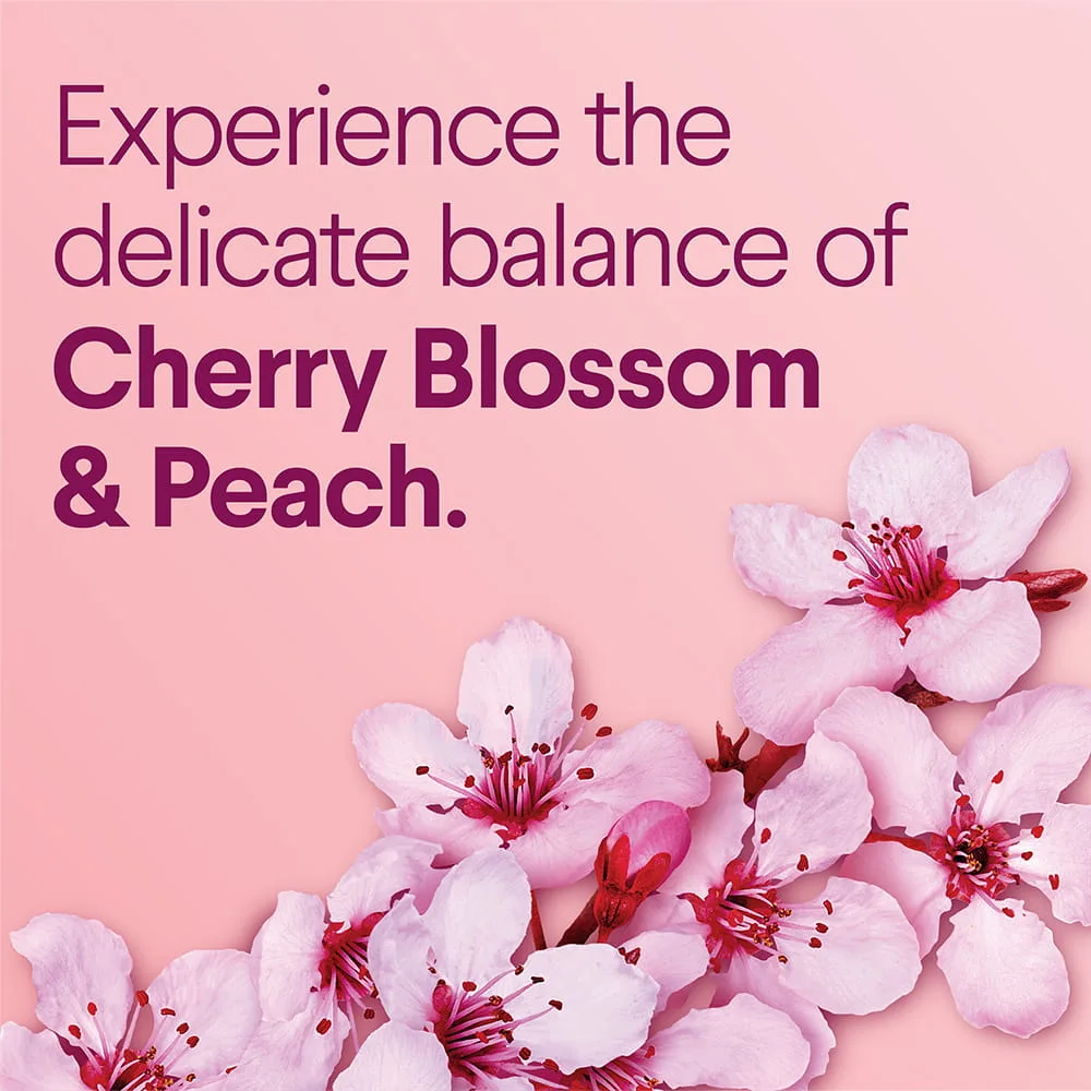 Flores de cerezo sobre un fondo rosa con las palabras Experimenta el delicado equilibrio de la flor de cerezo