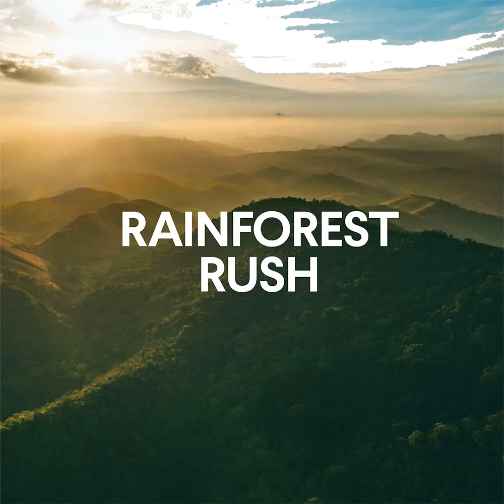 Disinfecting ToiletWand™ Refills | Rainforest Rush
