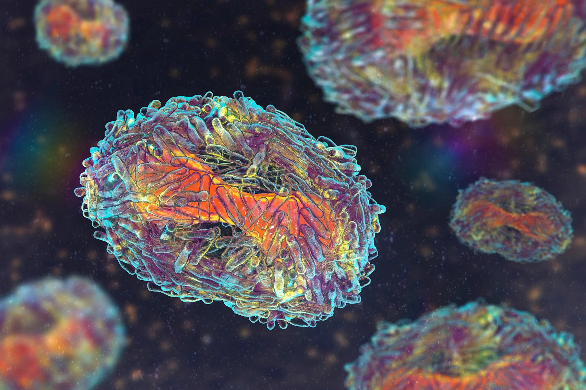 What Is Mpox (Formerly Monkeypox, How It’s Transmitted and More Clorox®