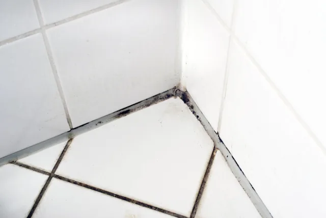 How to Get Rid of Mold in the Shower and on Bathroom Walls with Bleach