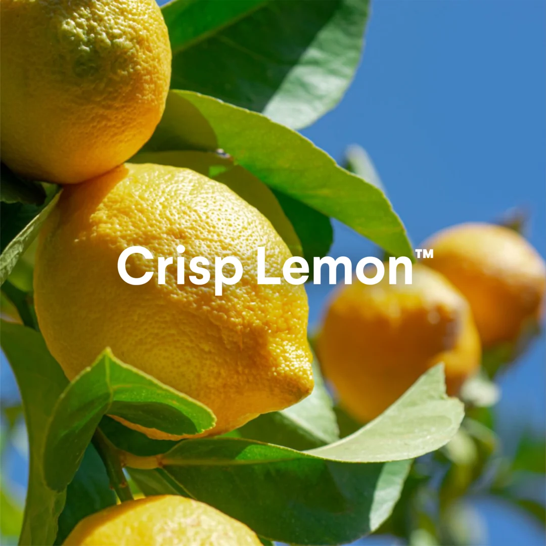 Bleach Foamer | Crisp Lemon