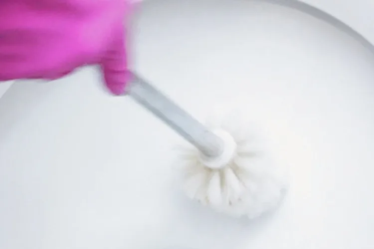 How to Clean a Toilet with Bleach Clorox®