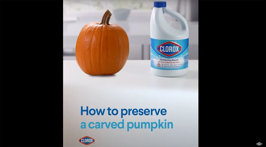 How to Preserve Carved Pumpkins With a Bleach Bath Clorox®
