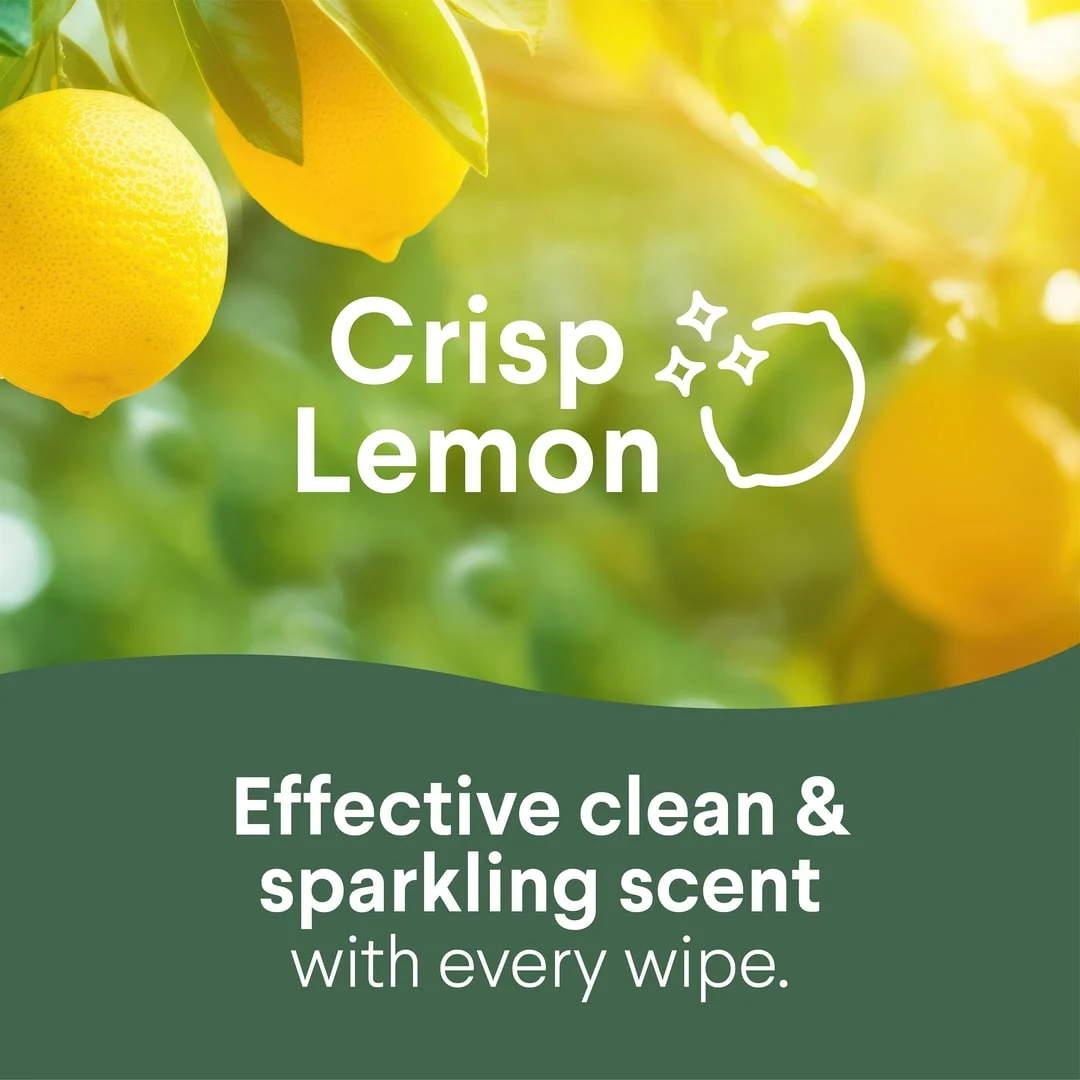 Crisp lemon: Effective clean & sparkling scent with every wipes. Lemons on trees in the background.