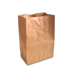 Brown paper bag