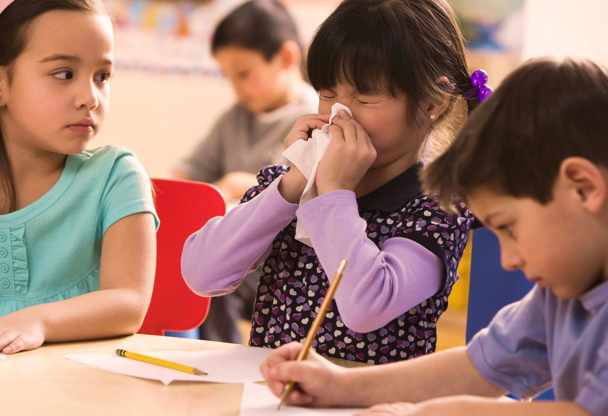 Young girl in purple sleeves blowing her nose with tissue while sitting at desk with other students.