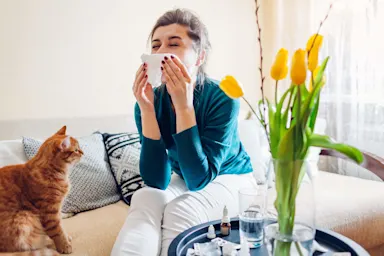 Person sitting on a couch using nasal spray, with a ginger cat looking at them and a vase of yellow tulips on the table.