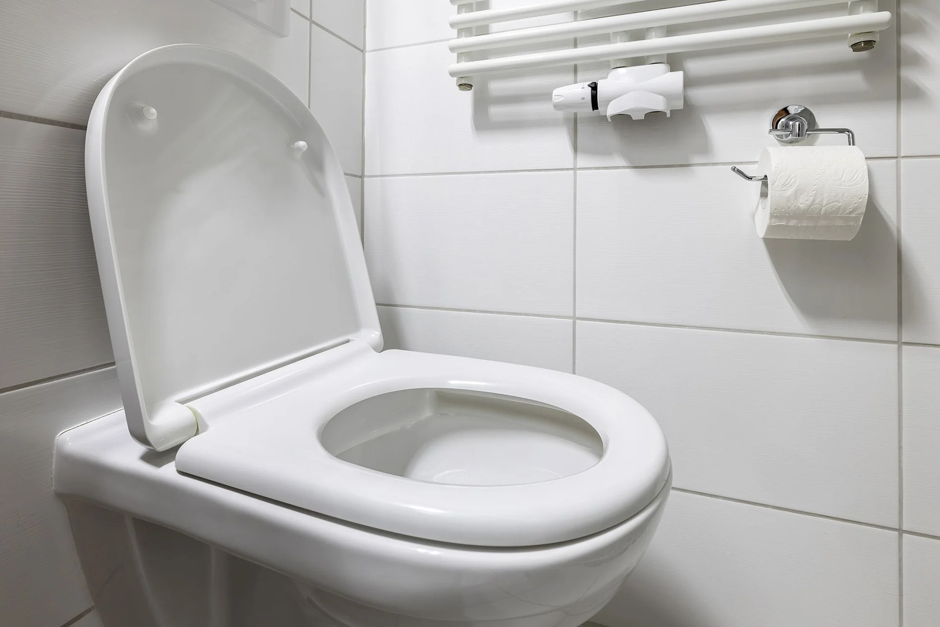 How to Keep Your Toilet Bowl Clean & Fresh | Clorox®