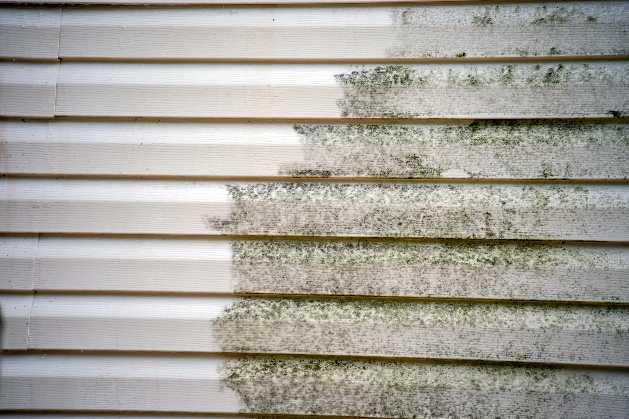 Does Chlorine Bleach Kill Algae? Clorox™