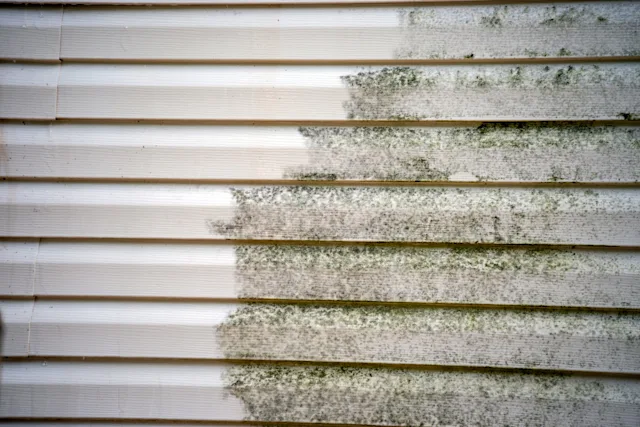 How Long For Bleach To Kill Algae