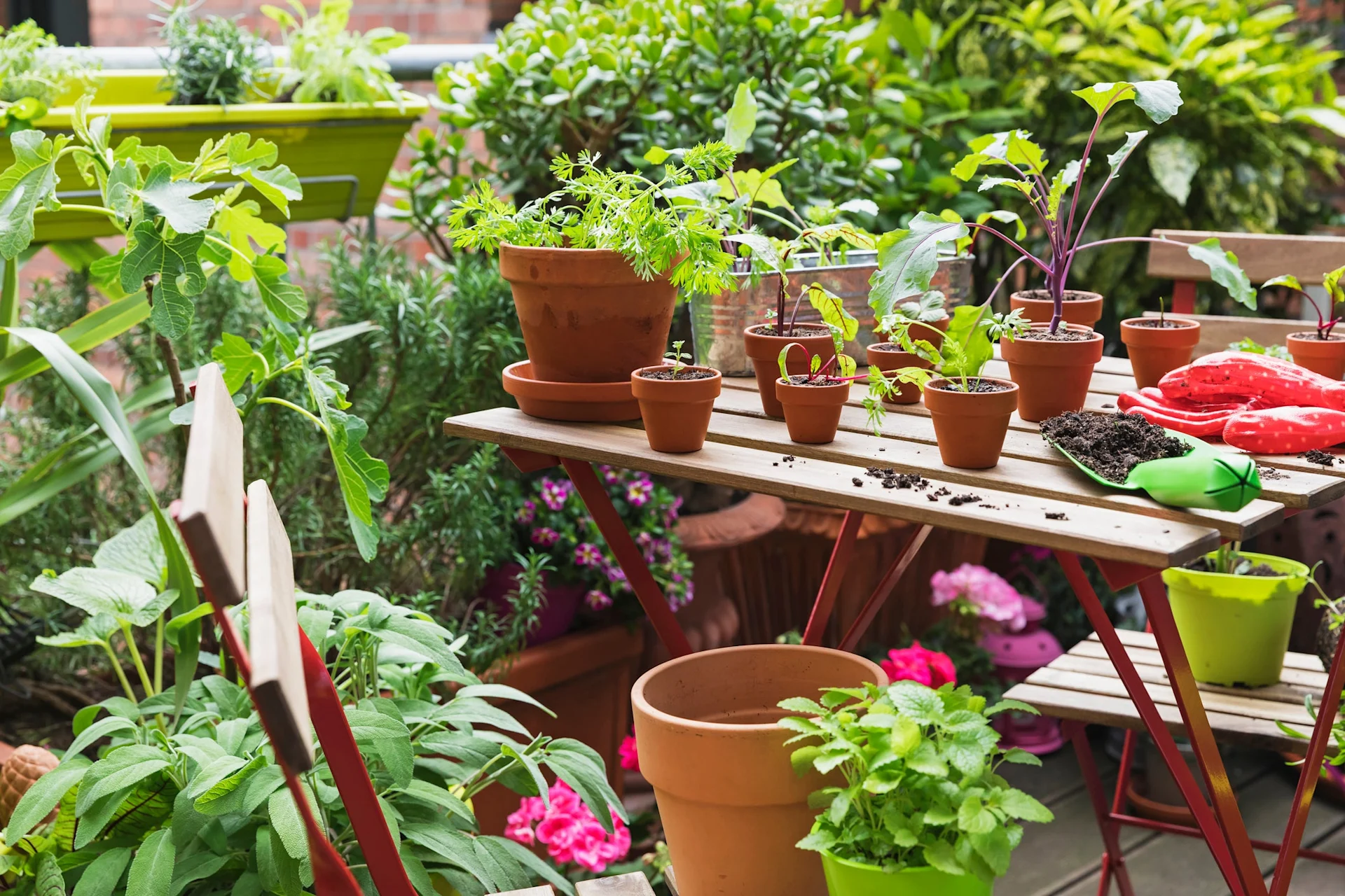 Refresh The Outdoors Diluted Bleach For Plants Clorox®