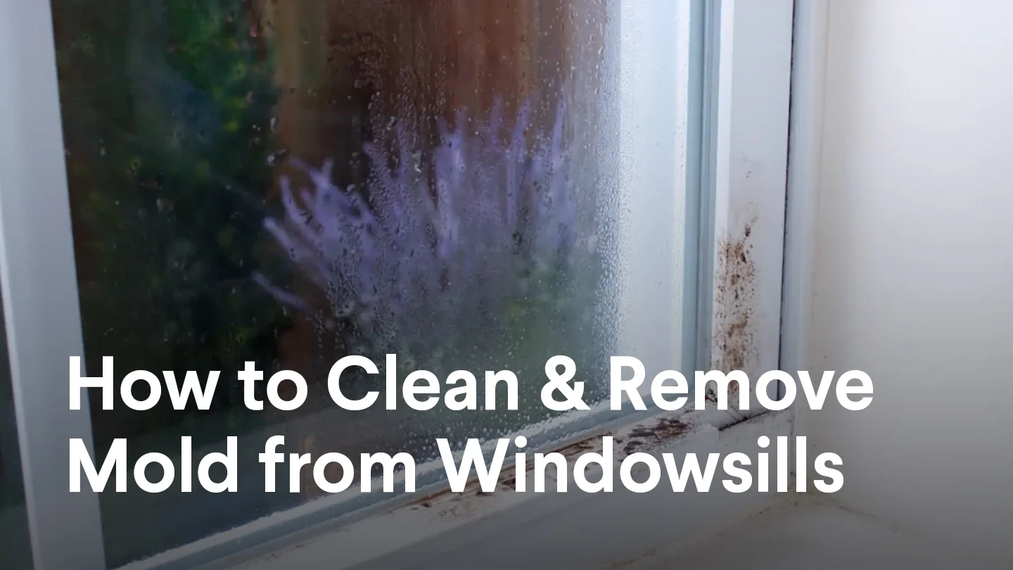 Stained corner of an interior windowsill with purple flowers outside. Title says How to Clean & Remove Mold from Windowsills