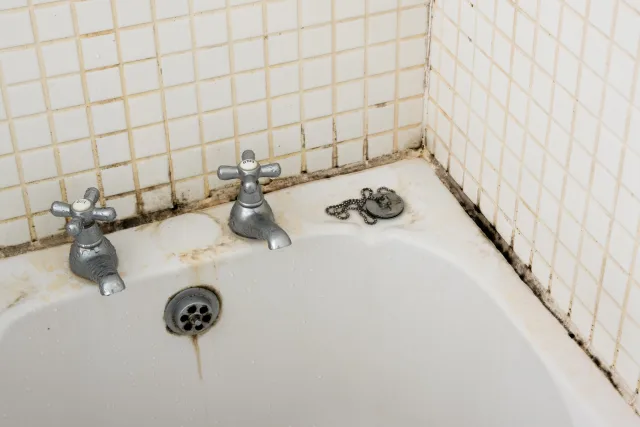 Does Bleach Kill Mold? Removing Mold from Walls and Ceilings