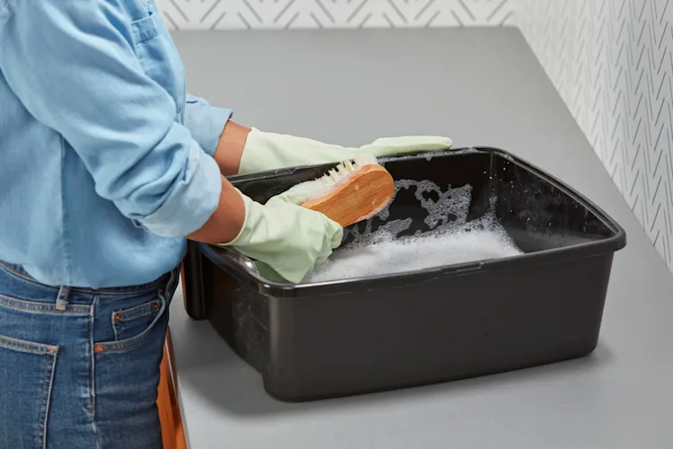 How to Clean a Litter Box With or Without Bleach Clorox®