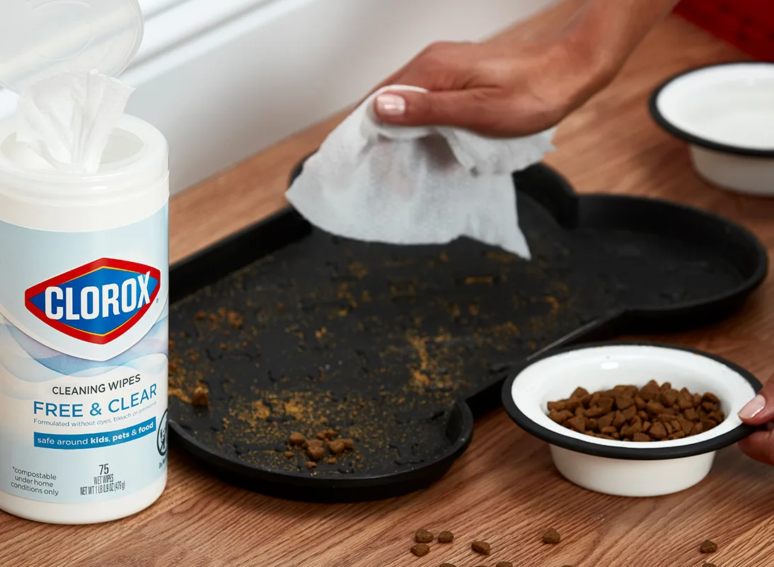 Hand using a cleaning wipe to clean a dirty pet food mat on the floor. A canister with Clorox logo is on the floor beside it.
