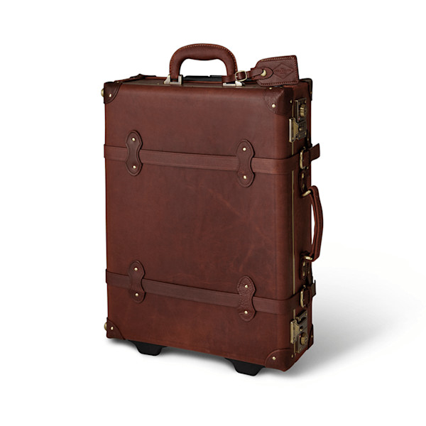 Steamline Luggage Pioneer Carryon Story Rain