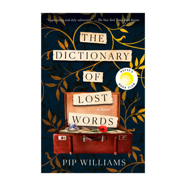 The dictionary of lost words
