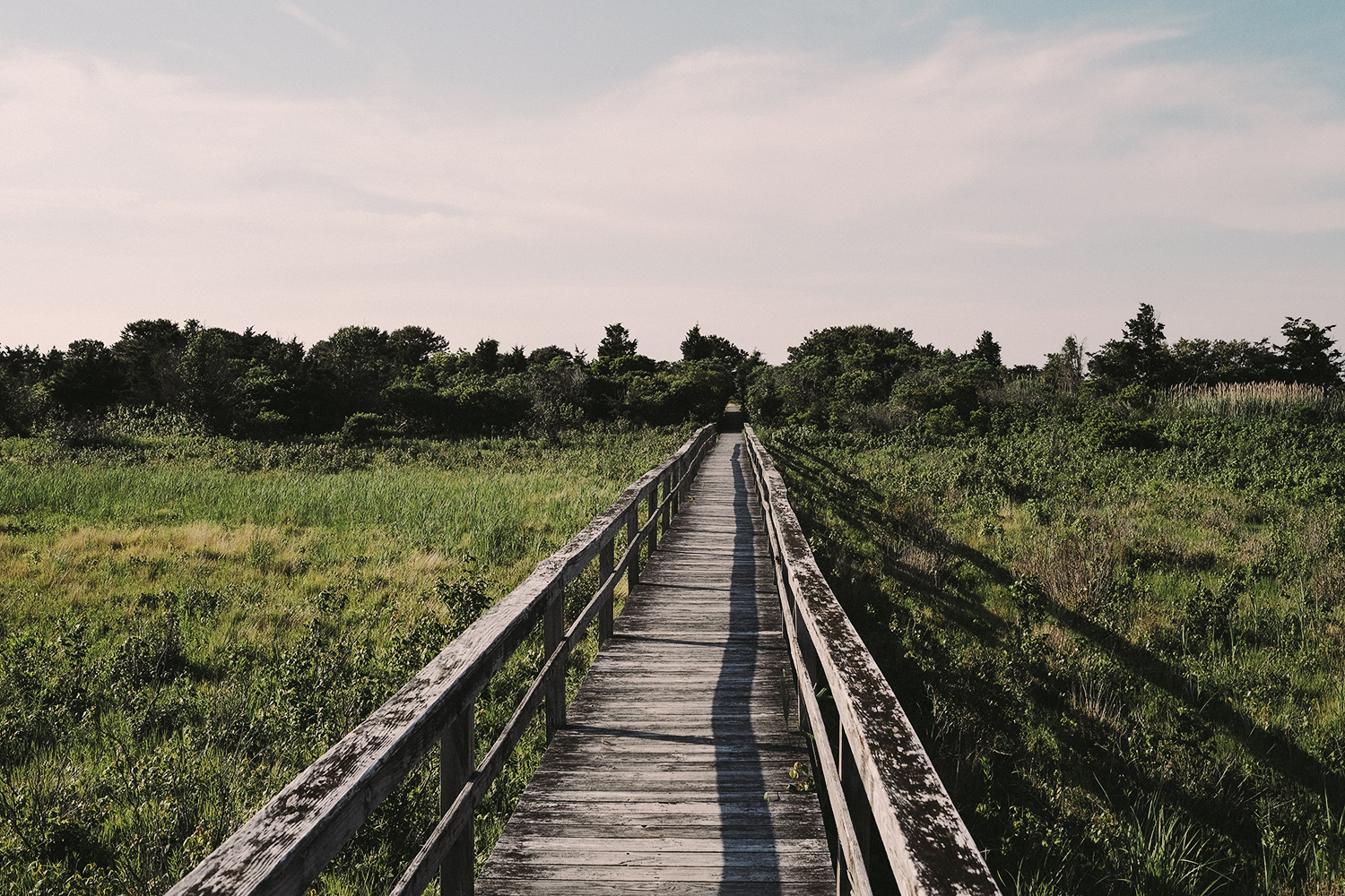 Quogue wooden path