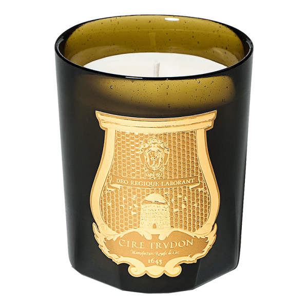 Cire trudon byron classic candle in woody cognac