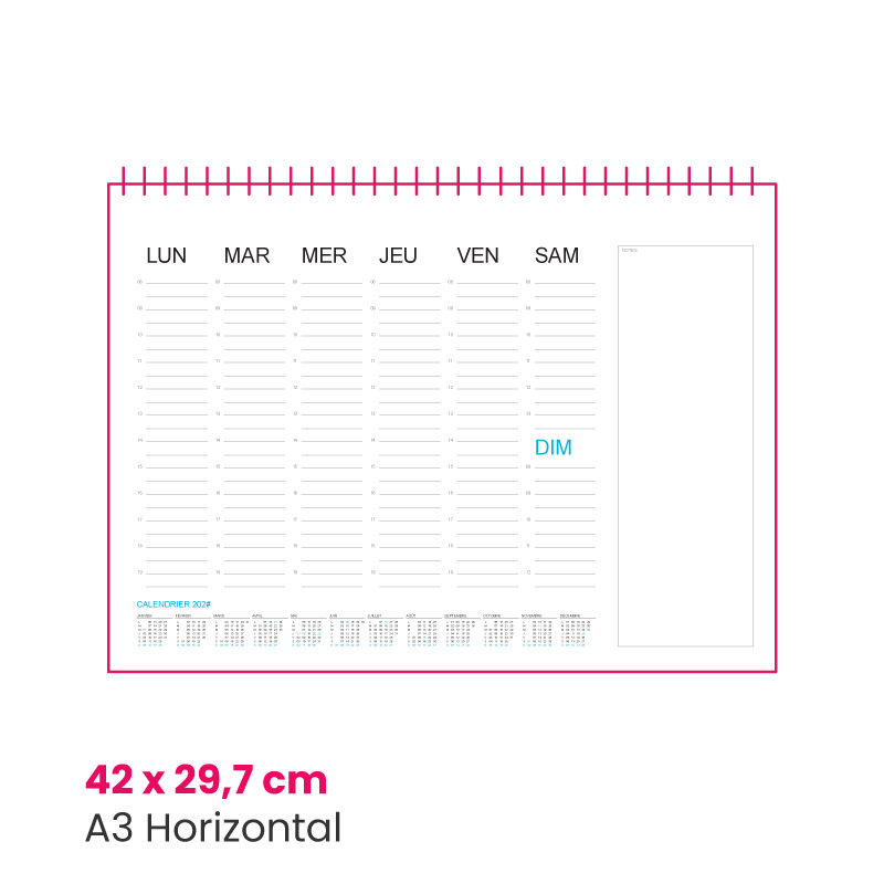 EF_info_calendars_planners-wireo_mod1_02