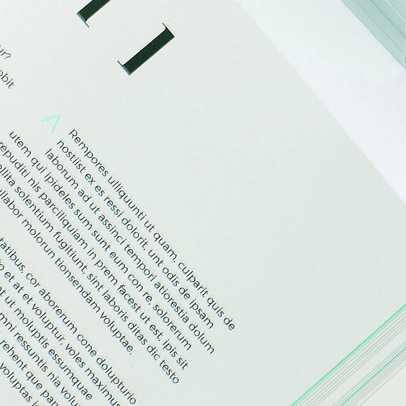 EF_boxinfo_small format_material_paper_extraprint_02