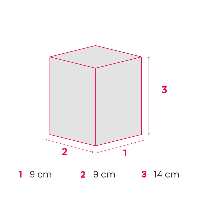 EF_boxinfo_pack_snap-lock-box_fmt_9x9x14