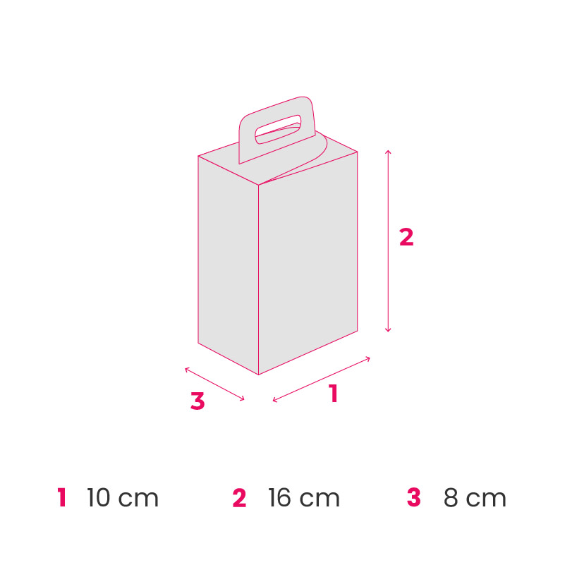 EF_boxinfo_pack_trunk-with-handle_fmt_10x16x8