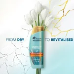 Infographic: DERMA Xᴾᴿᴼ Revitaliser Anti-dandruff Shampoo - FROM DRY TO REVITALISED