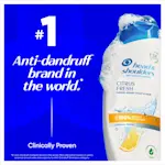 Head & Shoulders Citrus Fresh Shampoo, #1 anti-dandruff brand in the world.