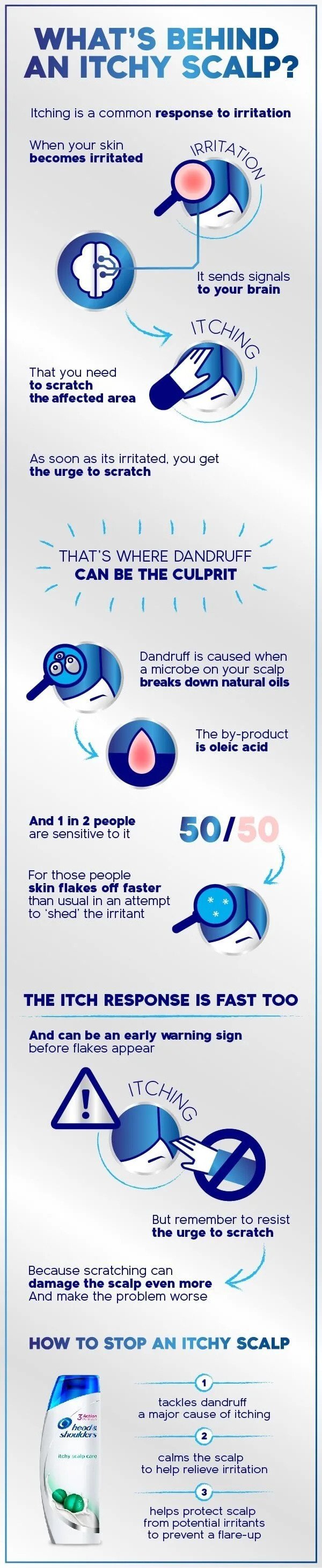 'Itchy scalp causes' infographic. 